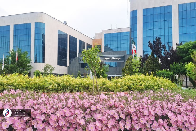 Pictures of the International Congress of Cardiovascular Surgery (2015)